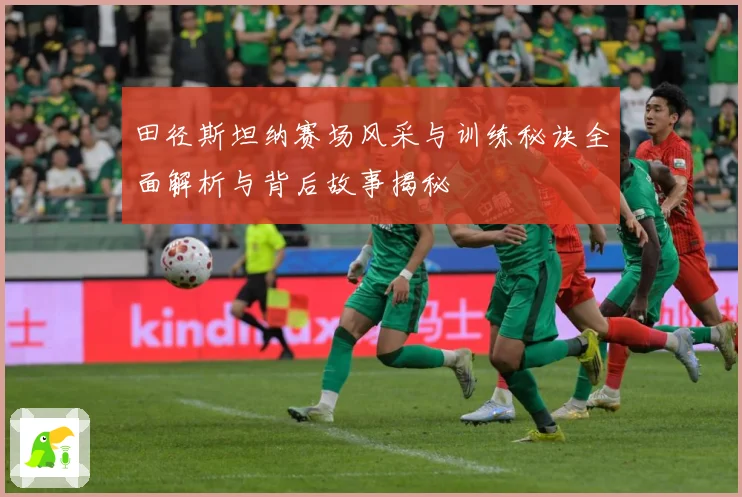 田径斯坦纳赛场风采与训练秘诀全面解析与背后故事揭秘