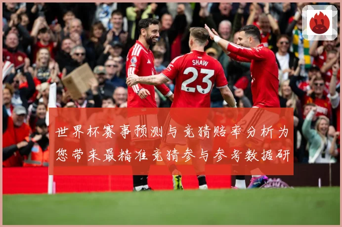 世界杯赛事预测与竞猜赔率分析为您带来最精准竞猜参与参考数据研判
