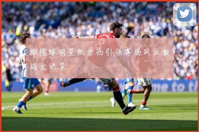 橄榄球明星凯尔西引领赛场风云激战全记录
