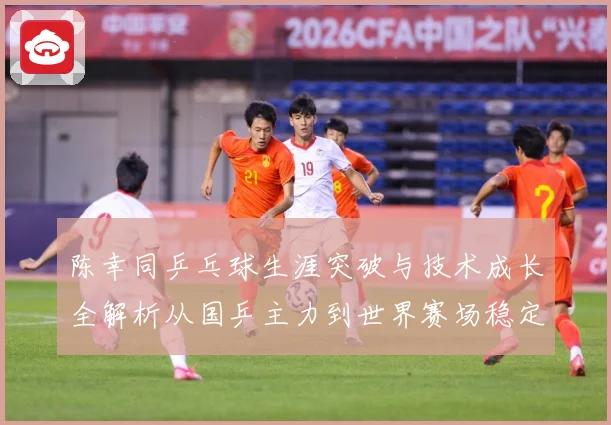 陈幸同乒乓球生涯突破与技术成长全解析从国乒主力到世界赛场稳定争冠之路